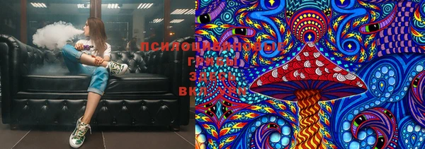 гашик Алексеевка