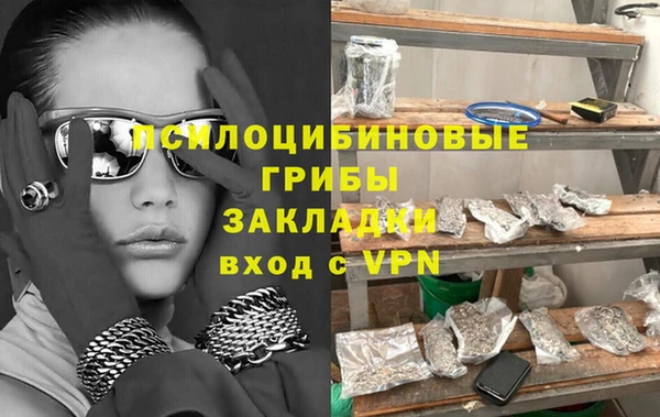 не бодяженный Алексин