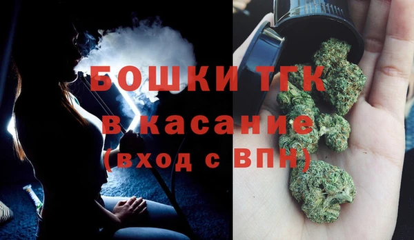 гашик Алексеевка