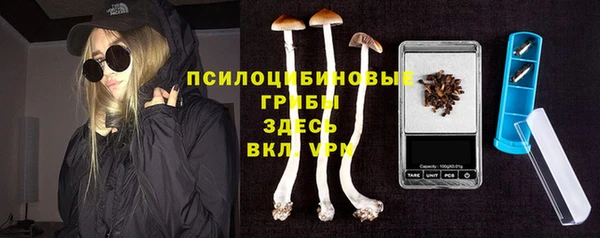 гашик Алексеевка