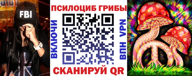 Галлюциногенные грибы Psilocybine cubensis Абинск