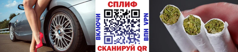 Канабис планчик  где купить наркоту  Абинск 